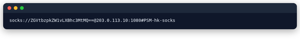 SOCKS5 节点的链接