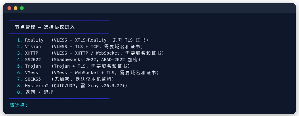 Xray 的协议列表
